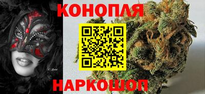 мдпв Камышлов