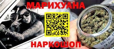 мдпв Камышлов